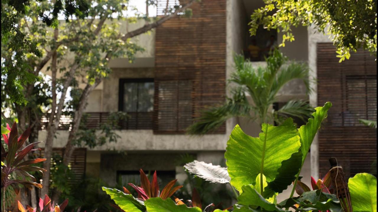 Panacea Condo Tulum Bagian luar foto