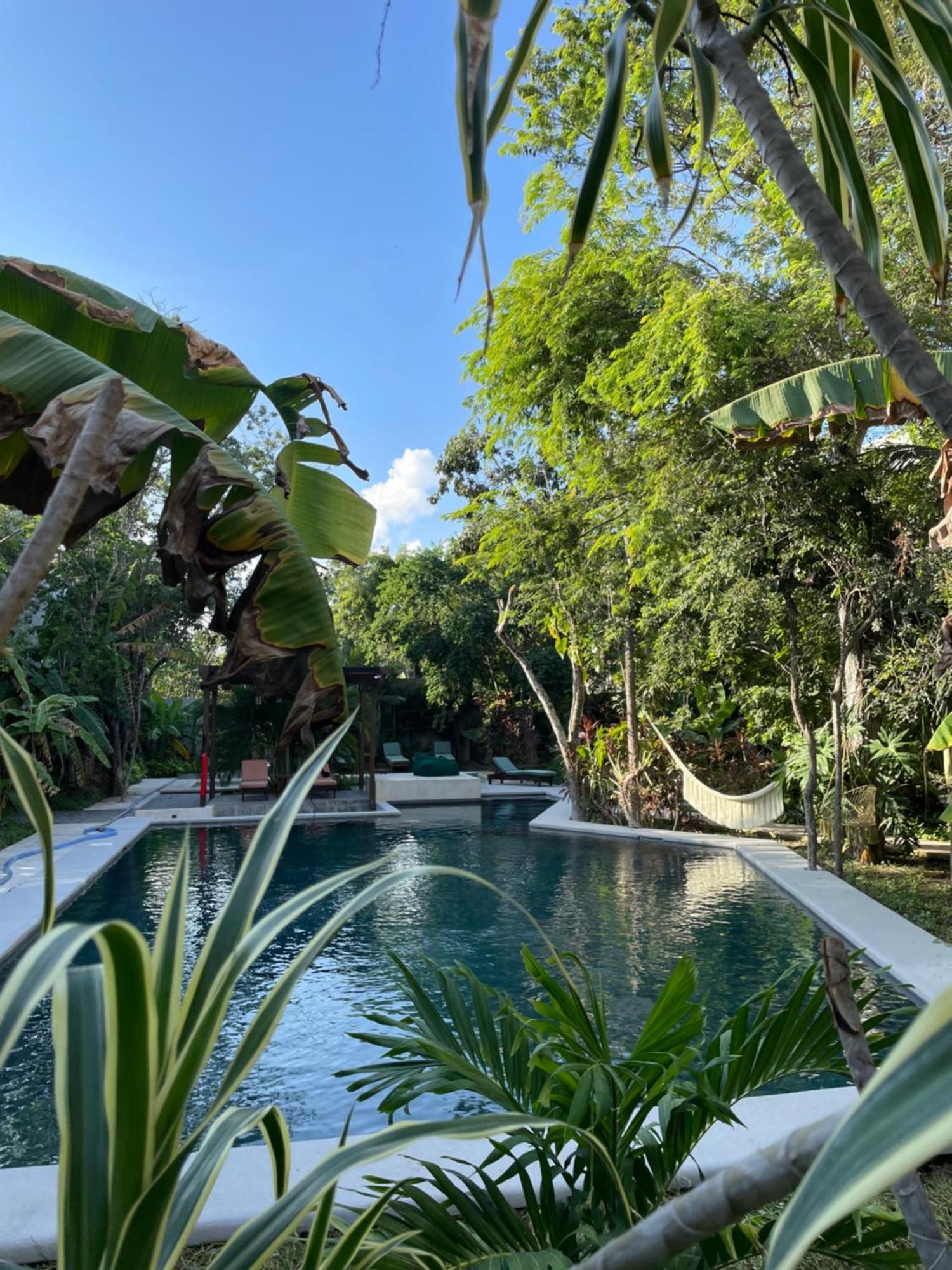 Panacea Condo Tulum Bagian luar foto